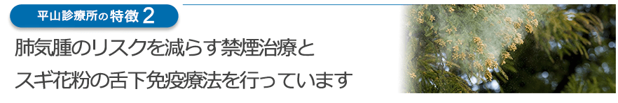 肺気腫のリスクを減らす禁煙治療とスギ花粉の舌下免疫療法を行っています