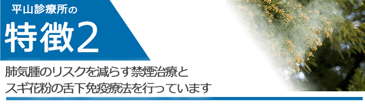 肺気腫のリスクを減らす禁煙治療とスギ花粉の舌下免疫療法を行っています